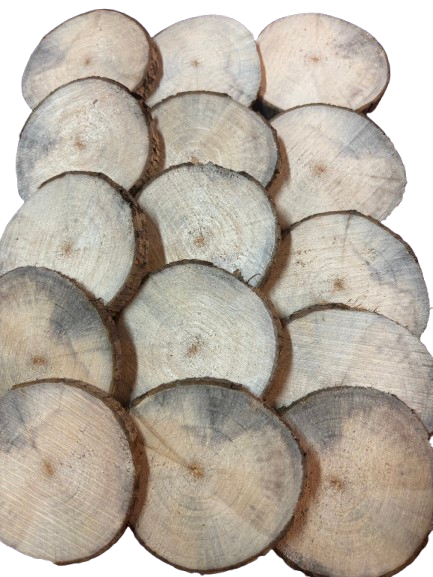 Lot de 10 rondelles de bois - Bois Naturel Ø à choisir entre 8 et 11 cm