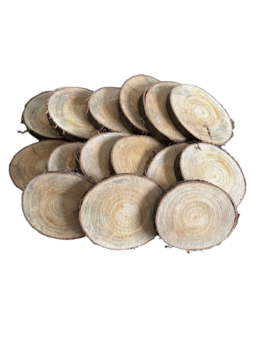 Lot de 20 rondelles de bois - Bois Naturel Ø  entre 6/7 cm