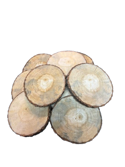 Lot de 10 rondelles de bois - Bois Naturel Ø à choisir entre 8 et 11 cm