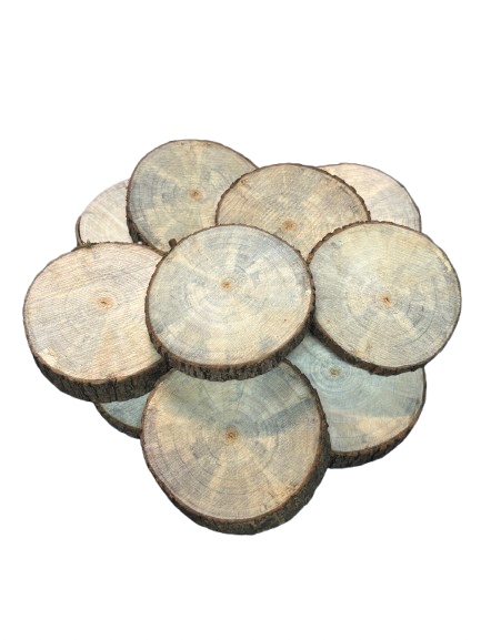Lot de 10 rondelles de bois - Bois Naturel Ø à choisir entre 8 et 11 cm