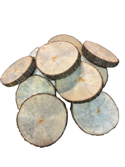 Lot de 10 rondelles de bois - Bois Naturel Ø à choisir entre 8 et 11 cm